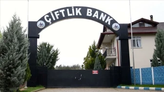 Çiftlik Bank davasında sürpriz karar: İki şüpheli serbest bırakıldı!