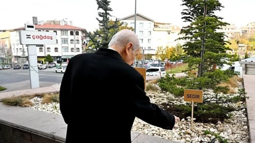 MHP Genel Merkezi önüne &apos;Biz kardeşiz&apos; ağaçları dikildi